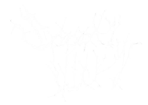 spookyvicky